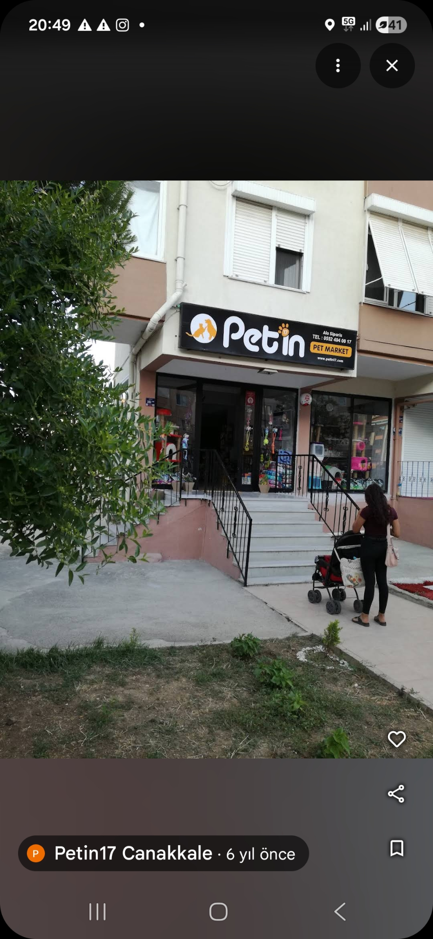 Mutlu evcil hayvanlar